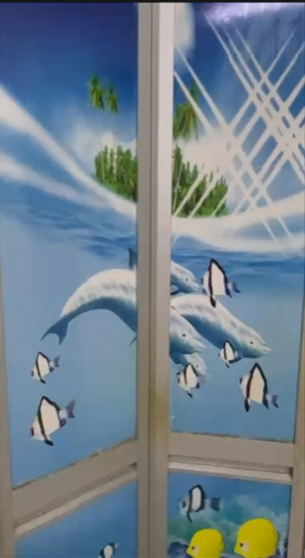 CNS Fiesta 2 Thumbnail